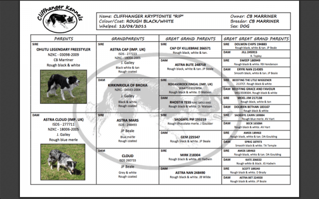 Screen Shot 2014-01-25 at 10.08.48 AM