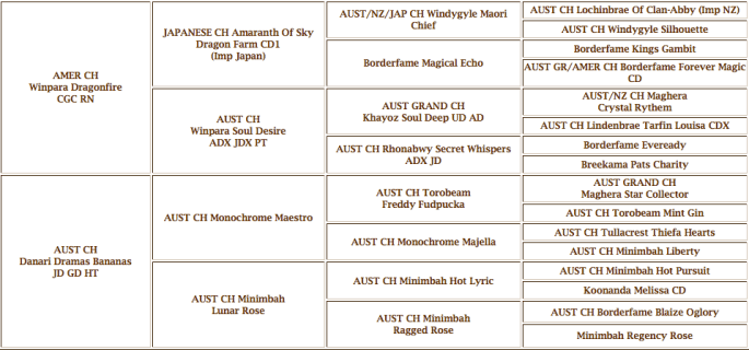 Screen Shot 2014-01-25 at 10.43.27 AM