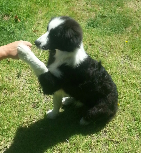 IMG_20130126_140806-1