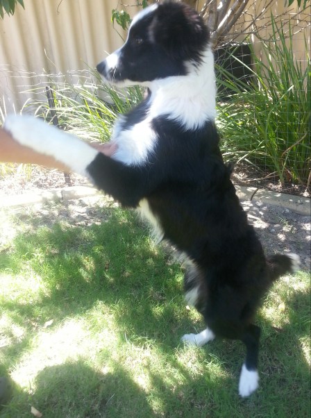 IMG_20130126_140629-1