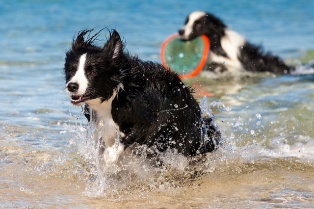 rockingham17-1-15-1654RS