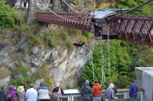 bungy4