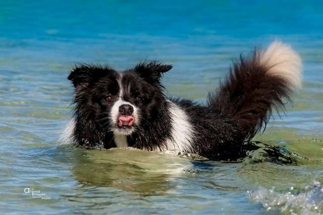 rockingham17-1-15-1678RS