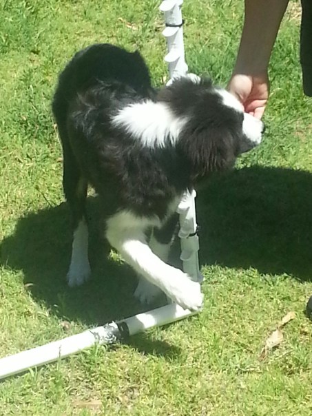 IMG_20130126_140522-1