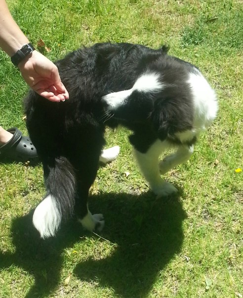 IMG_20130126_140748-1